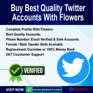 buy old twitter accounts
